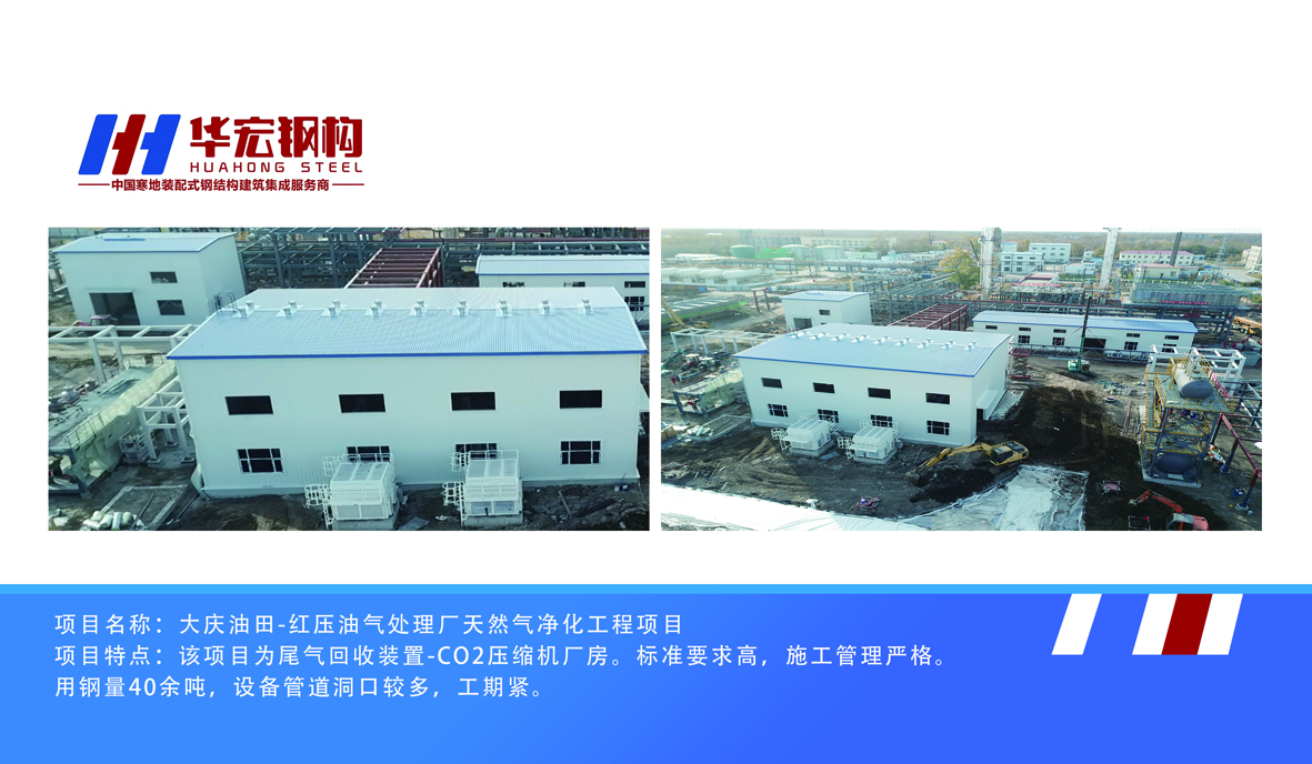 大庆油田-红压油气处理厂天然气净ξ　化工程项目